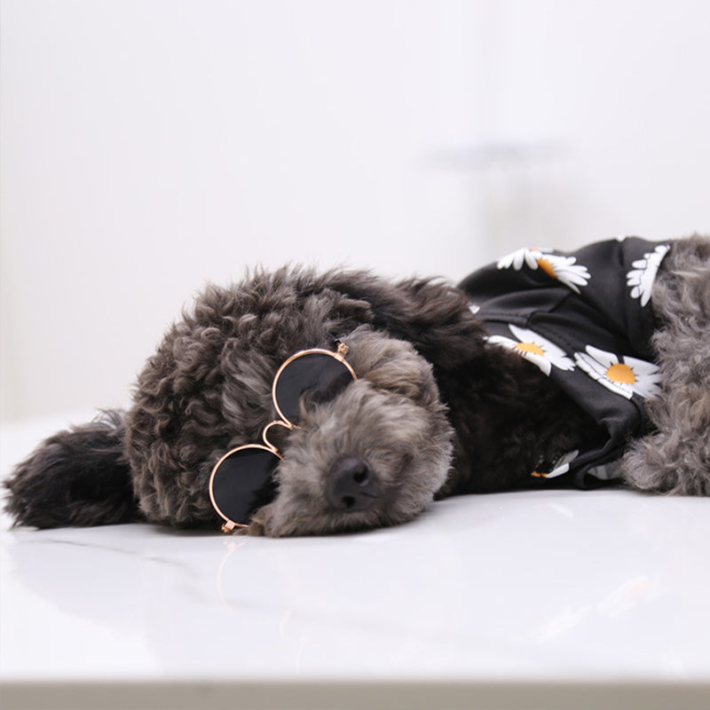 Fashion Retro Pet Eye Sunglasses