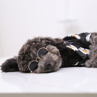 Fashion Retro Pet Eye Sunglasses